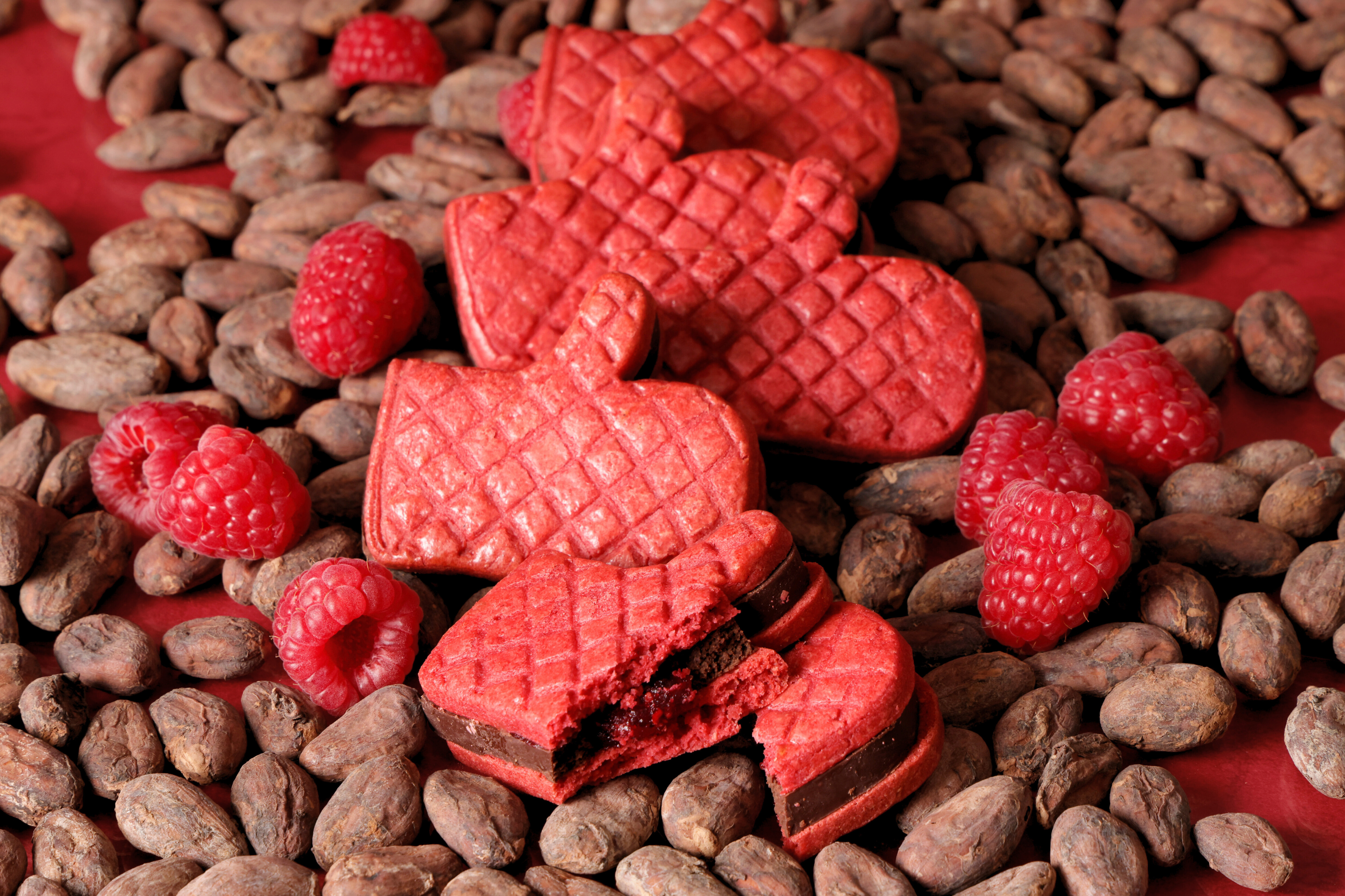 公式】デリーモ|ミトンチョコレートサンド ショコラフランボワーズ 公式】デリーモ|ミトンチョコレートサンド ショコラフランボワーズ