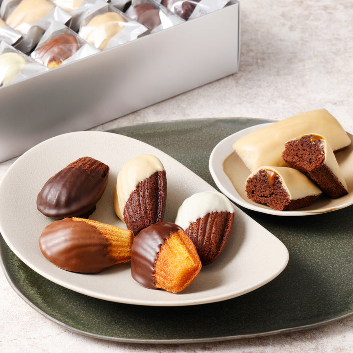 ショコラマドレーヌ・フィナンシェブロンドアソート10個セット – DEL