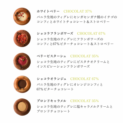 ティグレアソート5個セット