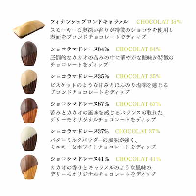 ショコラマドレーヌ・フィナンシェブロンドアソート10個セット