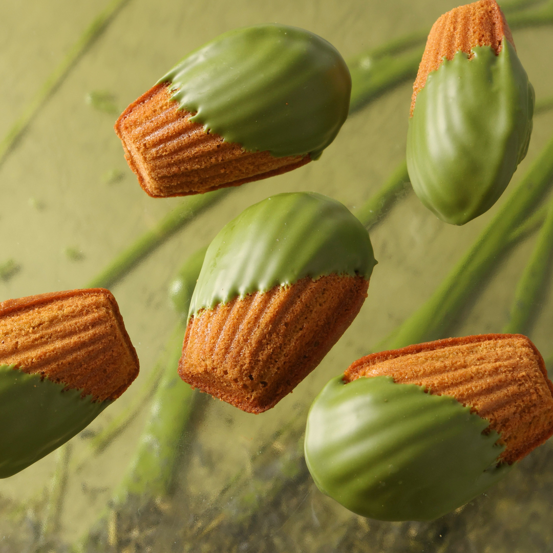 福袋〈大〉2026 – DEL'IMMO デリーモ