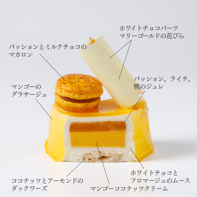 ルミエール