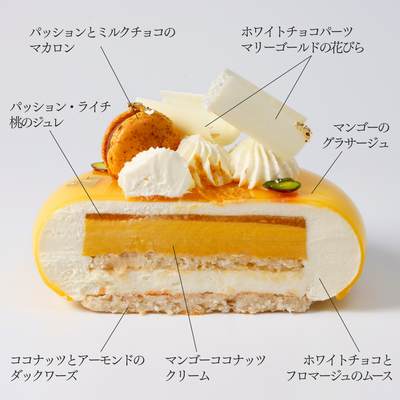 ルミエール