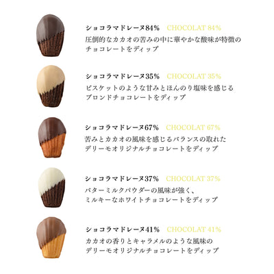 ショコラマドレーヌ10個セット