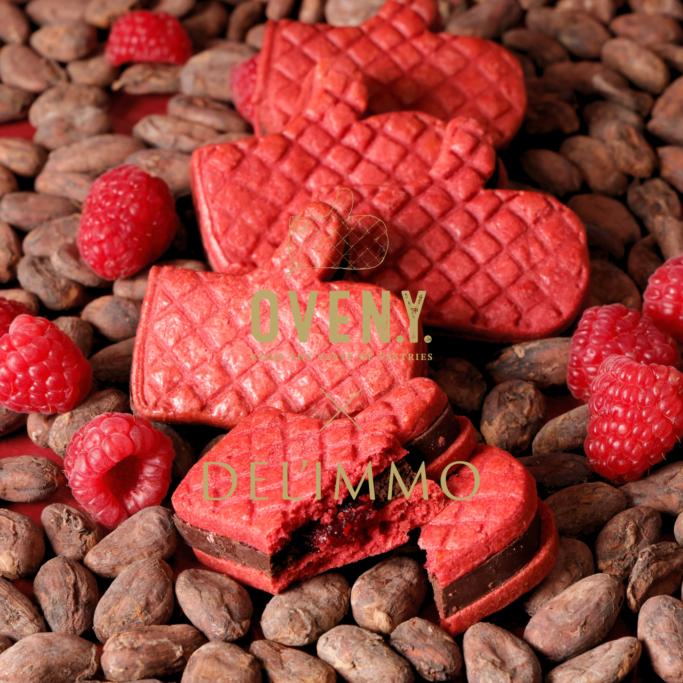 ミトンチョコレートサンドショコラフランボワーズ 12個セット