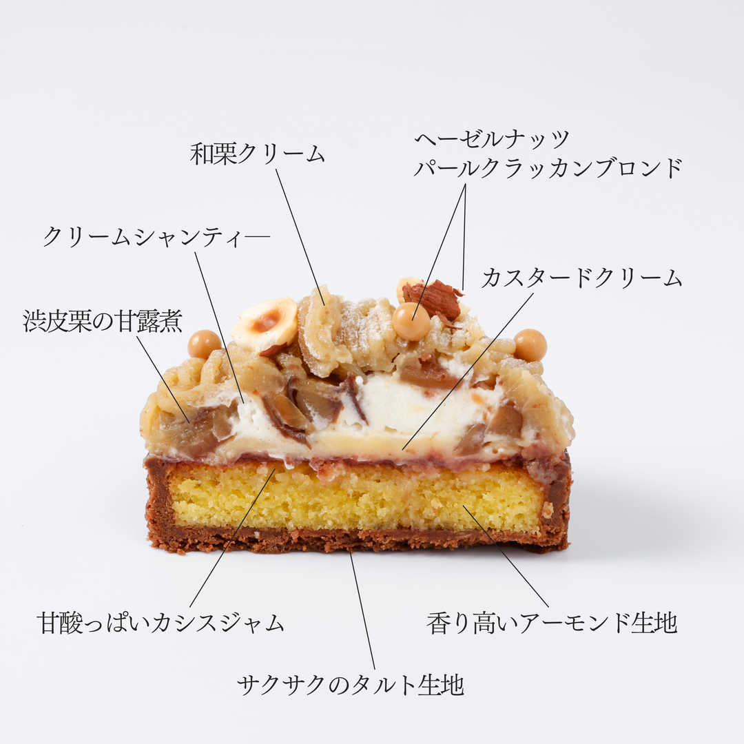 モンブラン – DEL'IMMO デリーモ